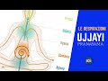 YOGA - RESPIRAZIONE di base Ujjayi