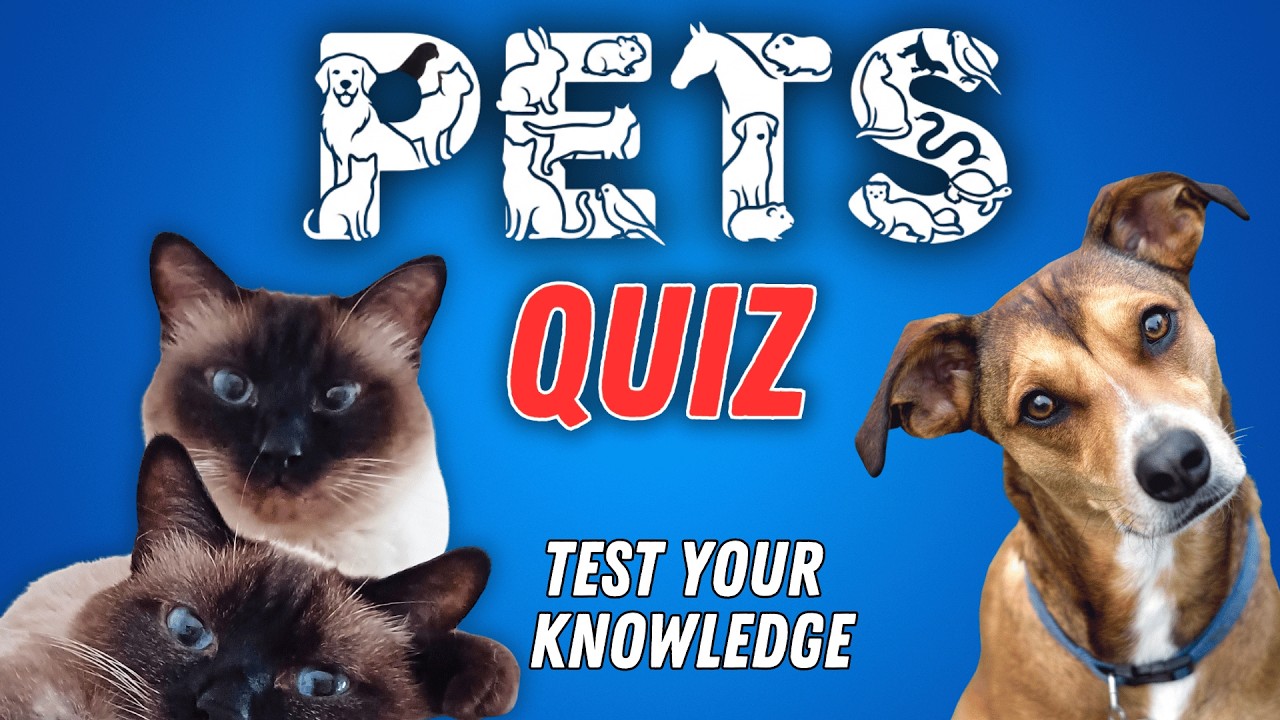 PETS QUIZ | How Many Can You Answer Correctly? | 50 Questions