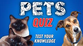 PETS QUIZ | How Many Can You Answer Correctly? | 50 Questions