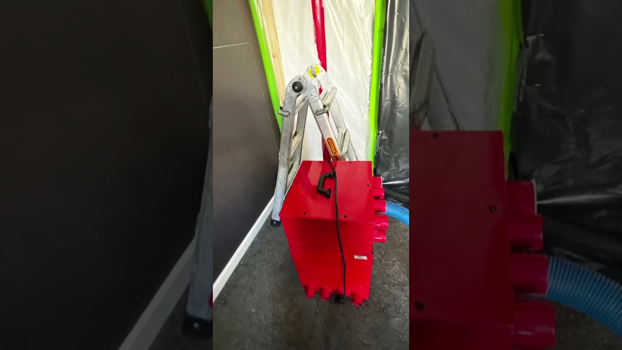 Mould remediation project in Melbourne