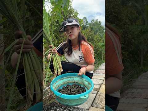 Đi bắt ốc trong hồ câu 😂 #cauca #bắtốc #vyhanfishing