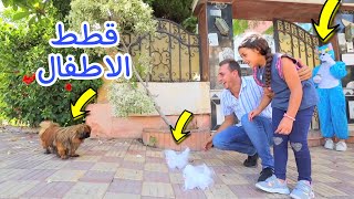 بنت صغيرة تشتري قطة - شوف حصل اية !!