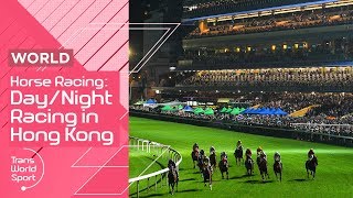 Every december, some of the world's best jockeys and horses descend on
hong kong. kong jockey club hosts international jockeys' championship
und...