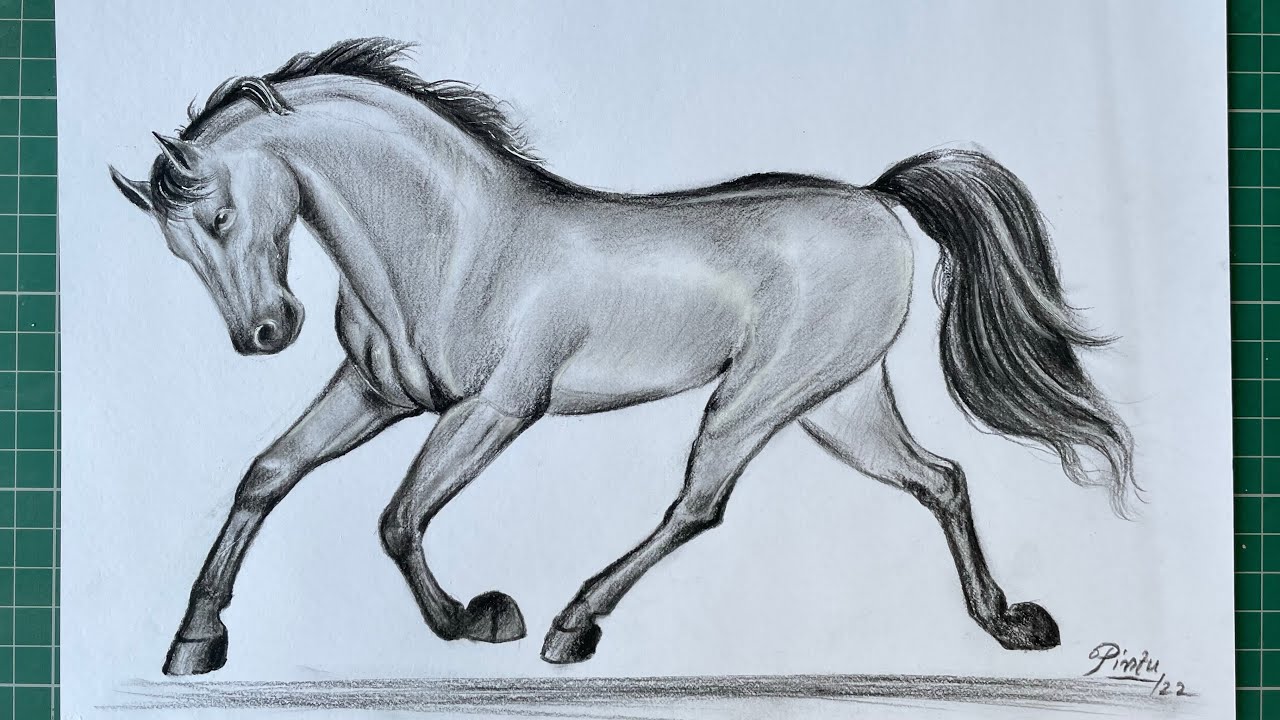 caballo  Horse art drawing, Horse drawings, Pencil art drawings