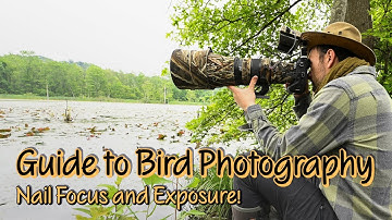 Beginners Guide to Bird Photography | Exposure, Settings, and Autofocus | Tips I use have success!
