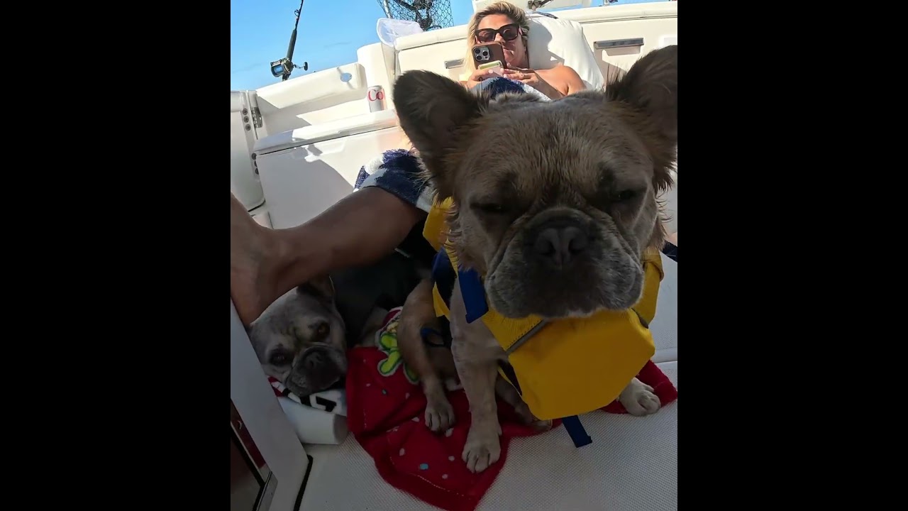 Fishing Offshore SWFL with our Sea Dogs