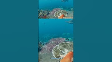 Stranded Deep – Shark Sighting! 🦈 | Survival Tension Builds