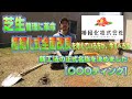 【椿緑化式全面改良】を施工予定のが今しておくべき事。新名称を決めたので発表します。
