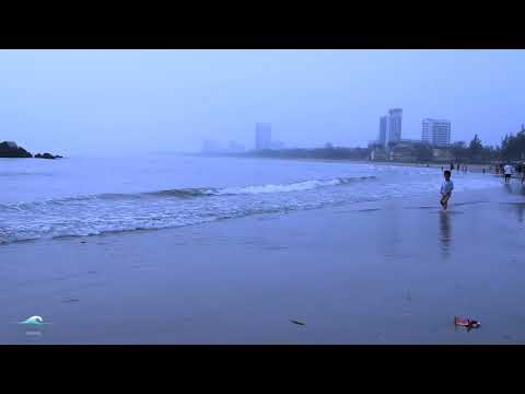 Fall Asleep in Minutes: Gentle Ocean Waves for Deep Relaxation