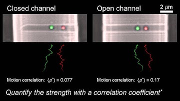 Non-decaying hydrodynamic interactions along narrow channels