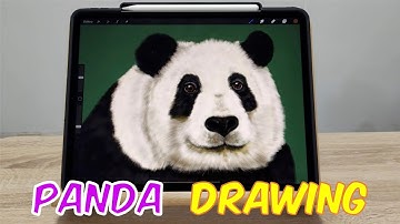 How to Draw a Panda on Procreate DIGITAL Drawing/Painting (Time Lapse)