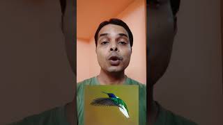 Do You Know Witch Is The Smallest Bird In The World,facts factsintamil tamilfacts shorts short