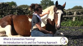 What is Connection Training? An Intro to Us and Our Training Approach by Connection Training 16,963 views 3 years ago 2 minutes, 44 seconds