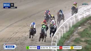 Vidéo de la course PMU RACE 9