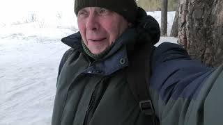 Прогулка по Бердскому лесу. Слушаем птичьи голоса. 26 февраля 2023. Новосибирская область