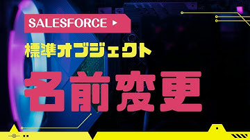Salesforce 標準オブジェクトの名前変更