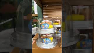 Vibe Remys Ratatouille Adventure At Epcot