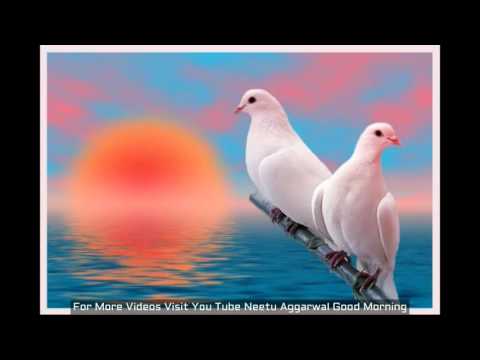 Good Morning Wishes,Good Morning Greetings,Wallpapers,E-card,Good Morning Whatsapp Video
