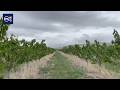 Utah farmers worry how weather whiplash will affect crops