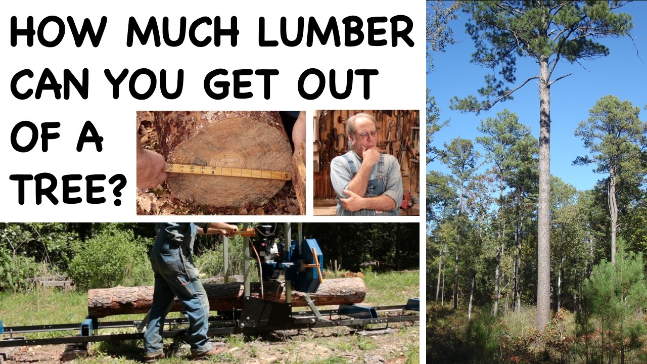 Расчет количества древесины в дереве