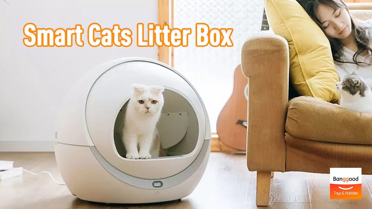 Petree Smart Self Cleaning Cats Litter Box Unboxing丨Automatic Cat
