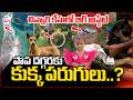 Jahnavi Missing Latest Updates | పాప దగ్గరకు కుక్క పరుగులు..? | Kakinada Jahnavi Missing Updates