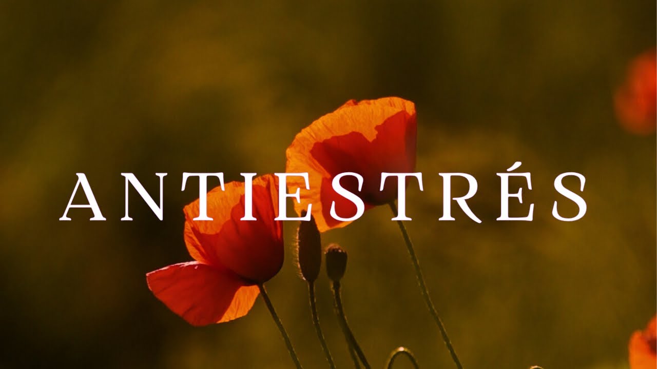 ANTIESTRÉS 🌺 Música Relajante para Aliviar el Estrés y Calmar la Ansiedad