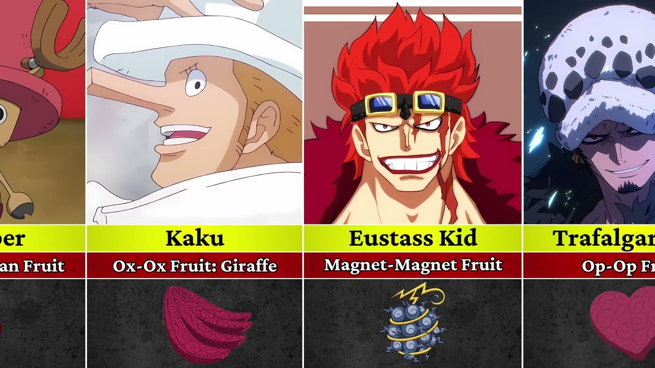 One Piece: All Devil Fruits and Their Users