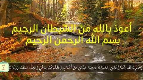 القارئ معاذ العيد - آيات من سورة الكهف