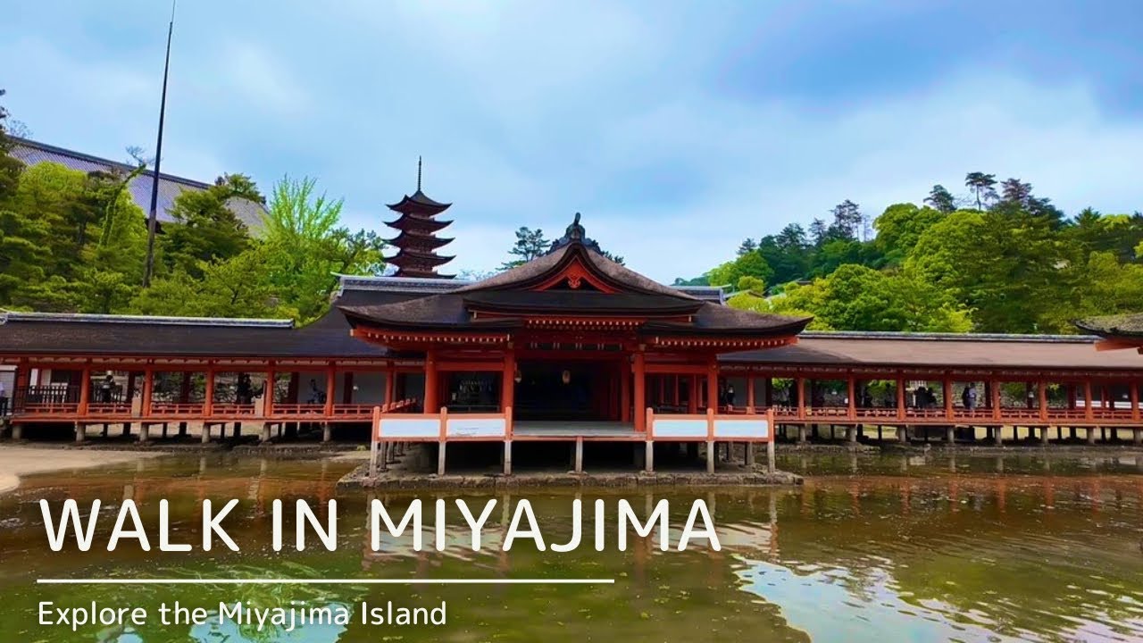 宮島 散歩動画 Walk in Miyajima 2024