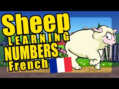 French Numbers Sheep Parade