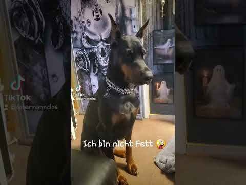 Ich bin nicht Fett.