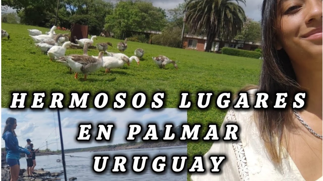 PESCA, MATES Y NATURALEZA EN PALMAR URUGUAY