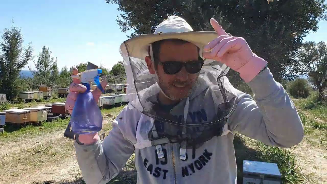 Ανοιξη στα μελίσσια. Μαρτιος 2021