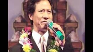 hận tình ca sĩ - chế linh