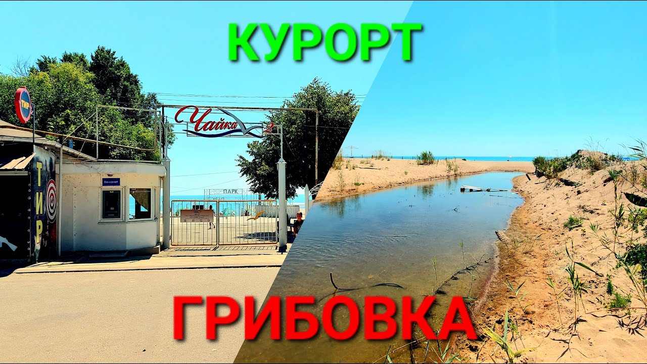 Курорт Грибовка сегодня. Туризм Украина. Пляжи Одесса. Море. Отдых. Чайка. Рыбалка. Лето. #зоотроп