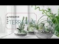 DIY : comment fabriquer un terrarium