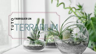 DIY : comment fabriquer un terrarium