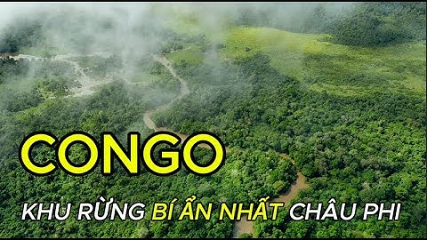CONGO –VÙNG ĐẤT HOANG DÃ BÍ ẨN NHẤT CHÂU PHI – NHỮNG SINH VẬT KHÔNG AI NGỜ TỚI #congo #tgdv #animals