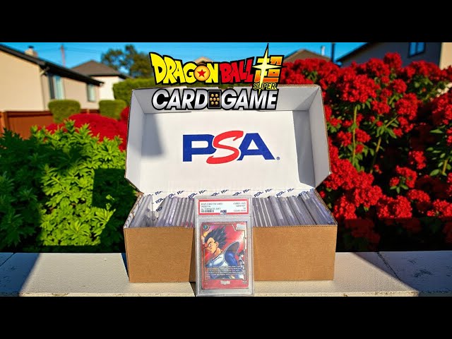 dragon ball z graded cards Sean Schemmel Signed Encapsulated Card  Super Sports Center Dragon Ball Super Masters Card