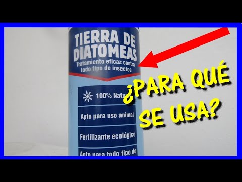 Vídeo: És el mateix la terra de diatomeas que la sílice?