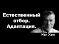 Адаптация.  Естественный отбор.  Значение библейского слова &quot;род&quot;.  Кен Хэм