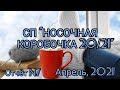 Вязание. Носочные изделия в СП "НОСОЧНАЯ КОРОБОЧКА 20/21". Отчёт №7. Итоги апреля. Готовые работы.