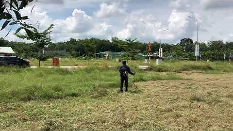 Dịch vụ cắt cỏ cho dự án khu dân cư - Công ty cây xanh An Phú