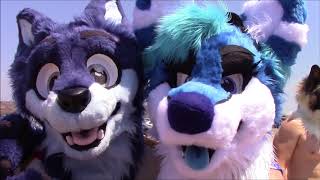 Beach Bonfire Fur Meet 2018