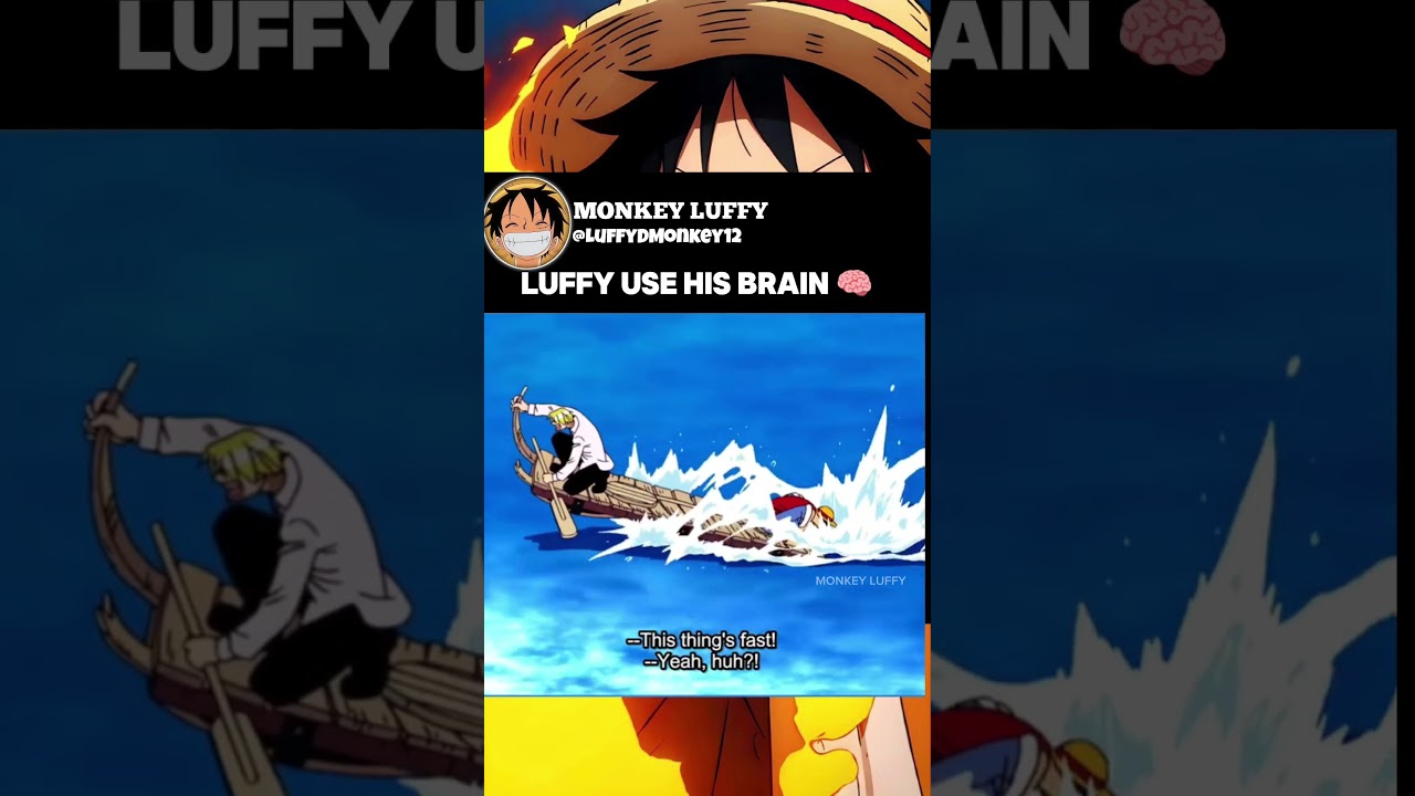 Nami Swan Robin Chwann Wait For me 😂 