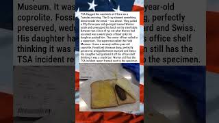 AIRPORT SECURITY CONFISCATES SANDWICH, LAB CONFIRMS IT'S A FOSSIL 🥪🦴😂