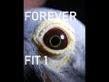 Forever fit 1