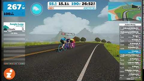 Pace Partners Snippet