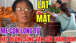 Lột Trần Âm Mưu Mẹ Con Long Tứ Trong Câu Chuyện Chim Sâu....!